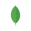mongoDB.webp